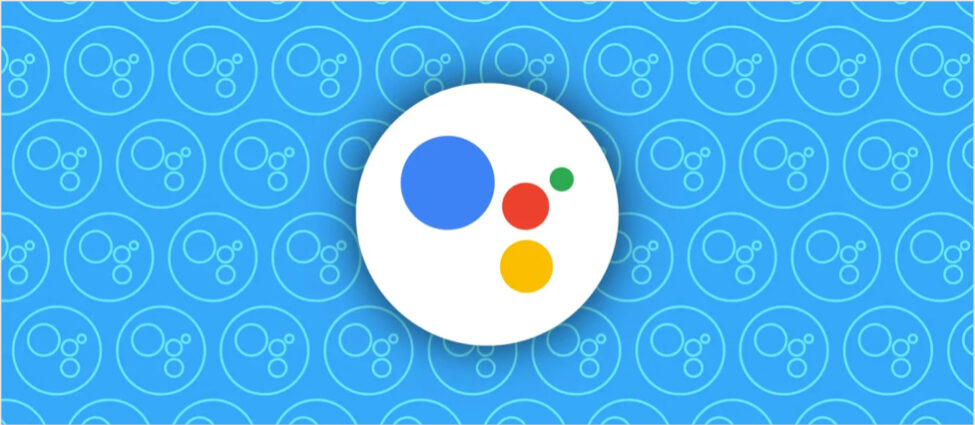 Google Assistant adds two new voices with Lime and Indigo